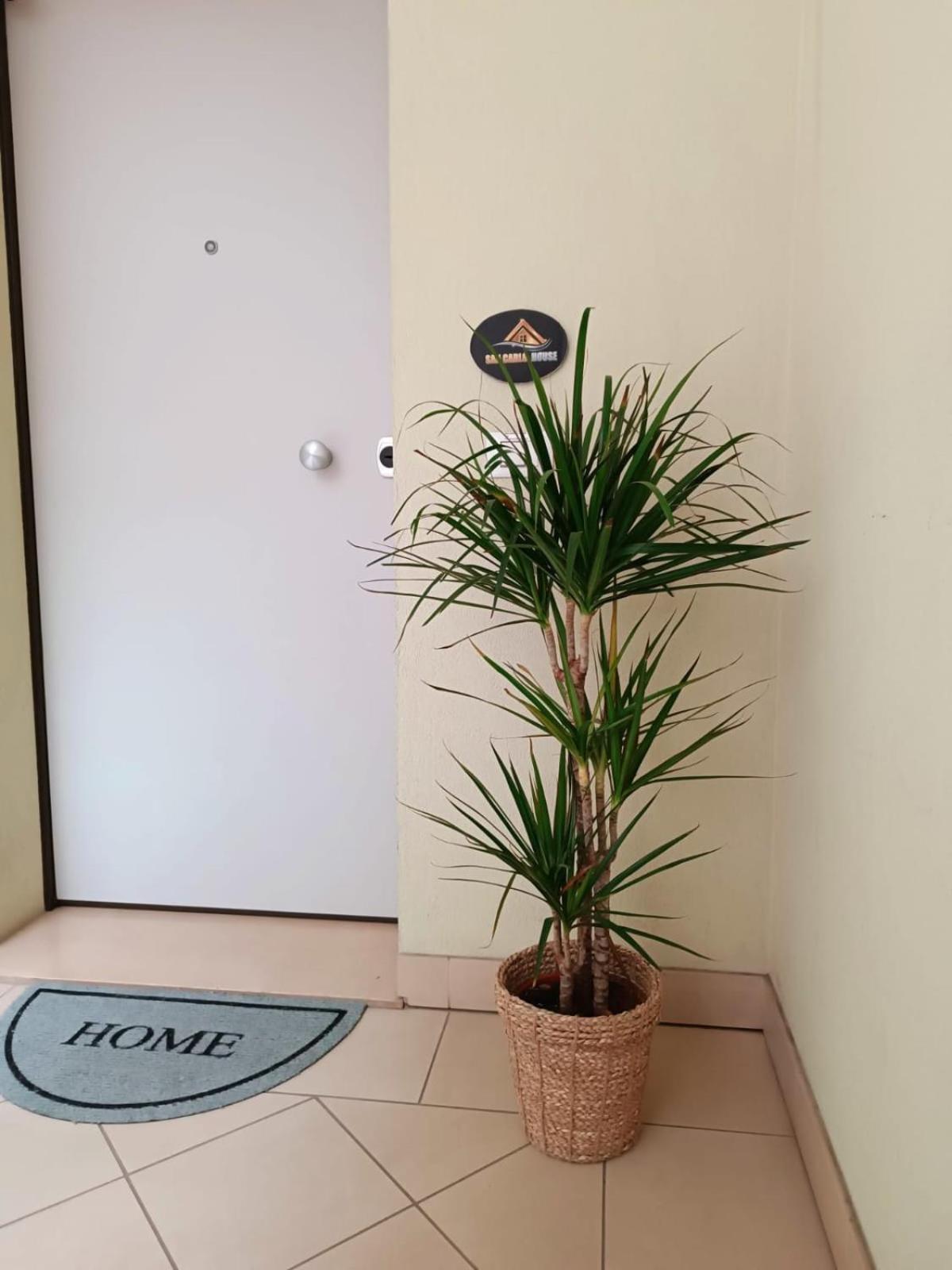 San Carlo House Apartment Castel Guelfo Di Bologna ภายนอก รูปภาพ